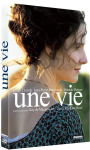 vignette