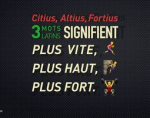 vignette